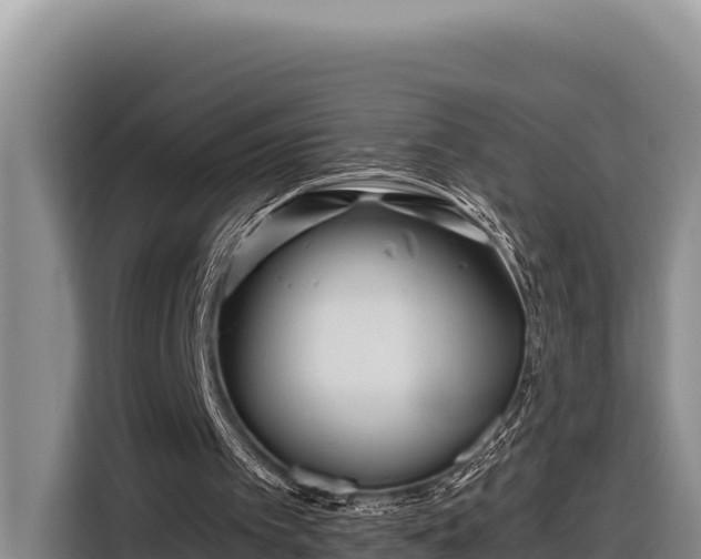 X0000116870097200912291327