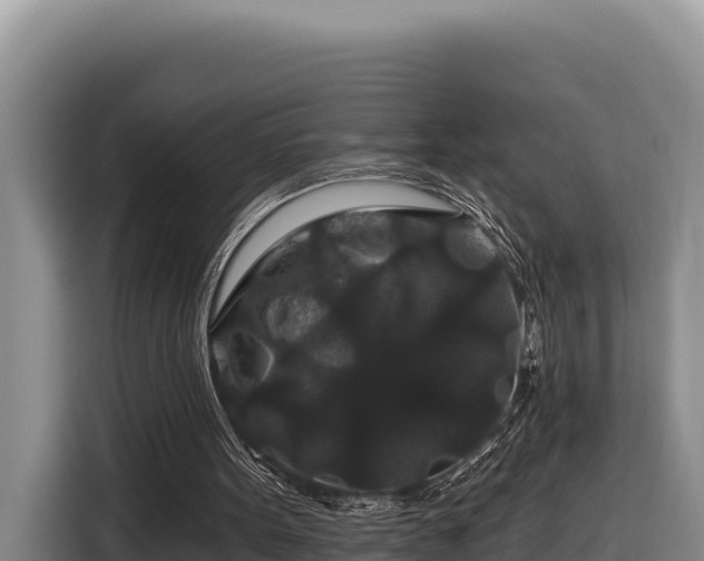 X0000116870099200912291327