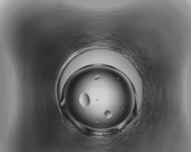 X0000116870100200912291327