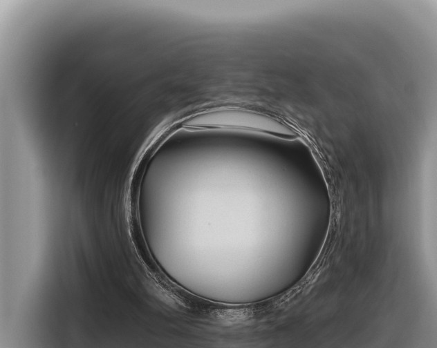 X0000116870102200912291327