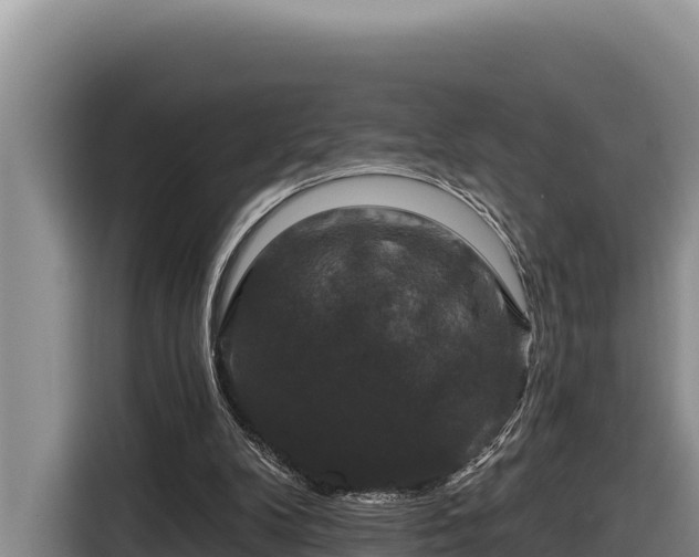 X0000116870104200912291327