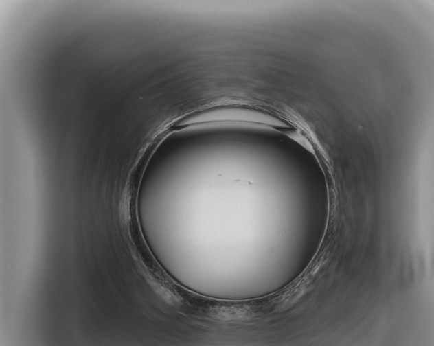 X0000116870106200912291327