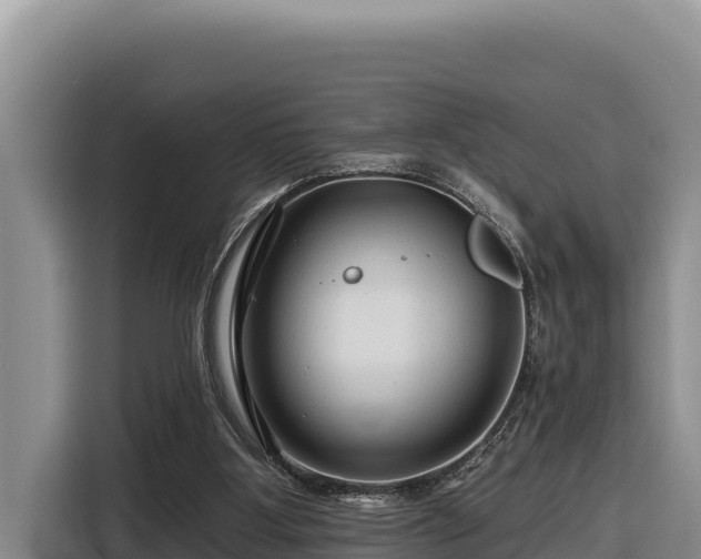X0000116870107200912291327