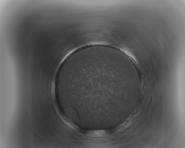 X0000116870108200912291327
