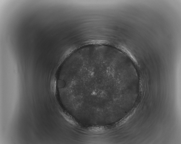 X0000116870110200912291327
