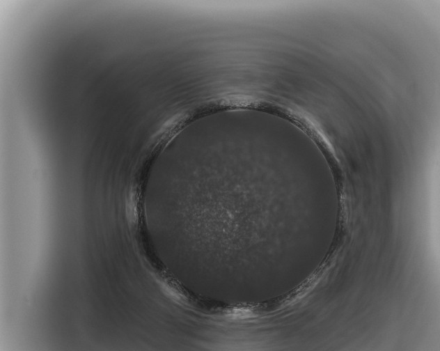 X0000116870114200912291327