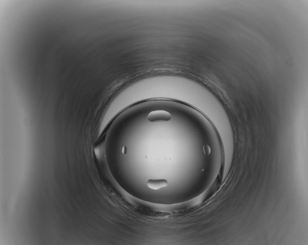 X0000116870116200912291327