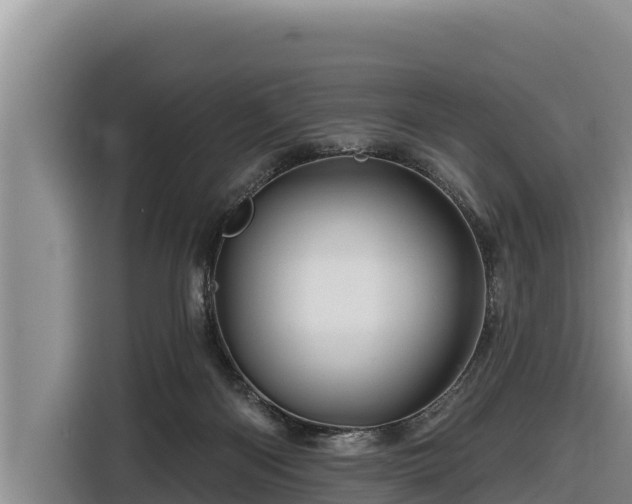 X0000116870122200912291327
