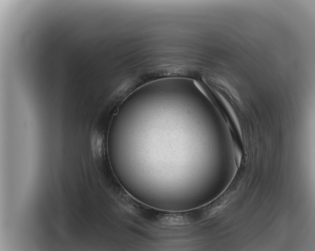 X0000116870123200912291327