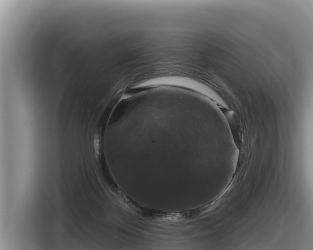 X0000116870124200912291327