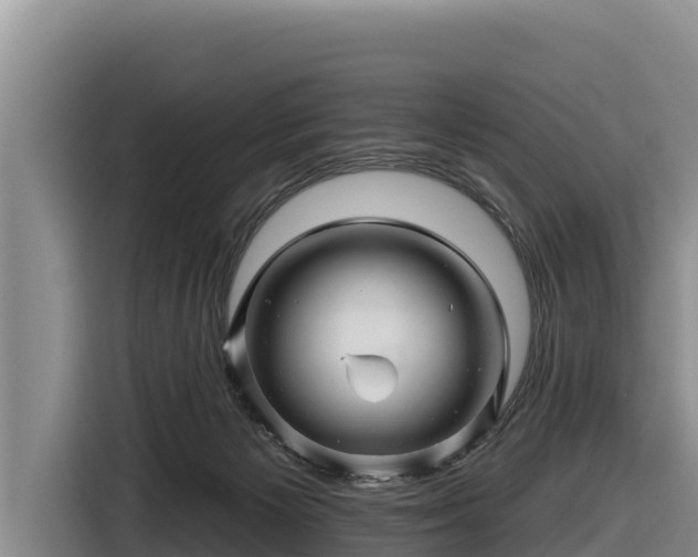 X0000116870125200912291327