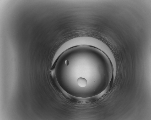 X0000116870129200912291327