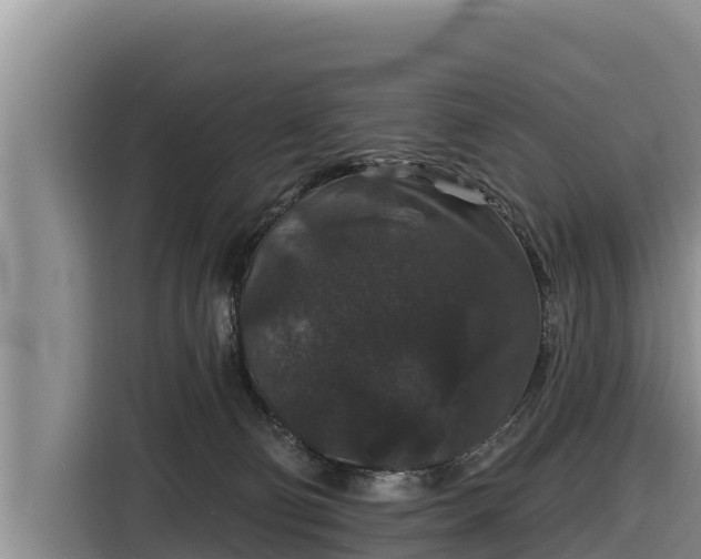 X0000116870130200912291327