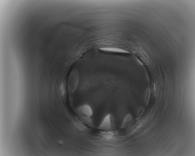 X0000116870131200912291327