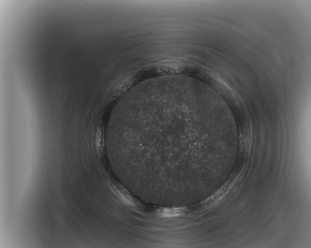 X0000116870134200912291327