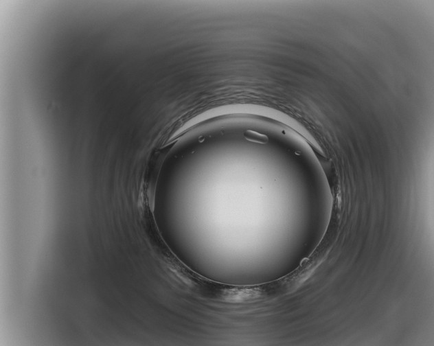 X0000116870135200912291327