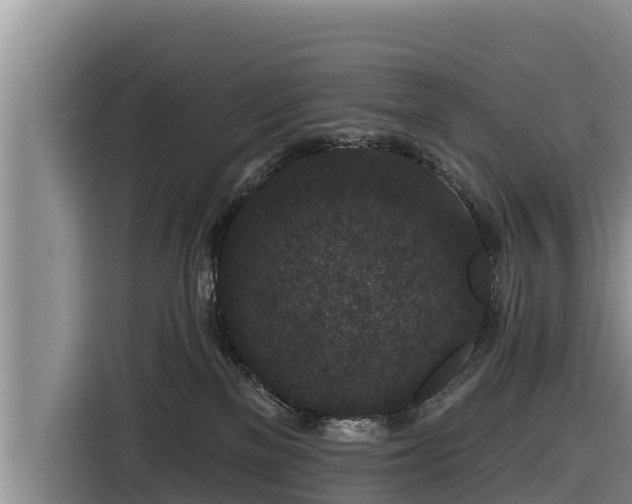 X0000116870137200912291327