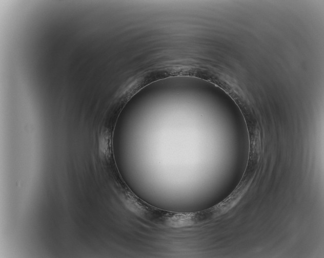 X0000116870138200912291327