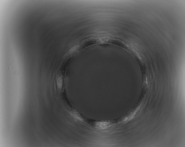 X0000116870139200912291327