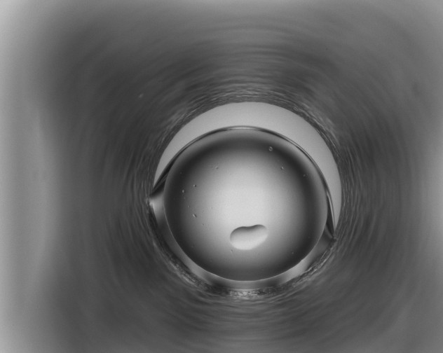 X0000116870141200912291327