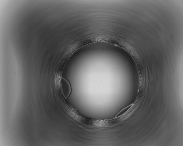 X0000116870142200912291327