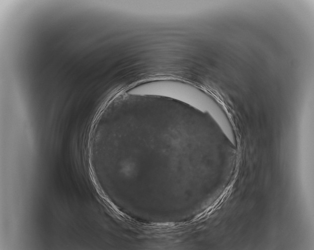 X0000116870145200912291326