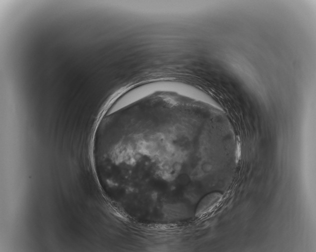 X0000116870147200912291326