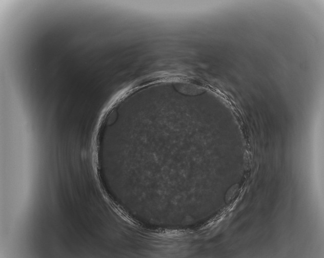 X0000116870149200912291326