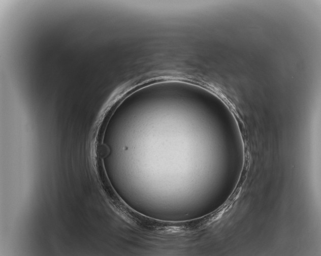 X0000116870151200912291326