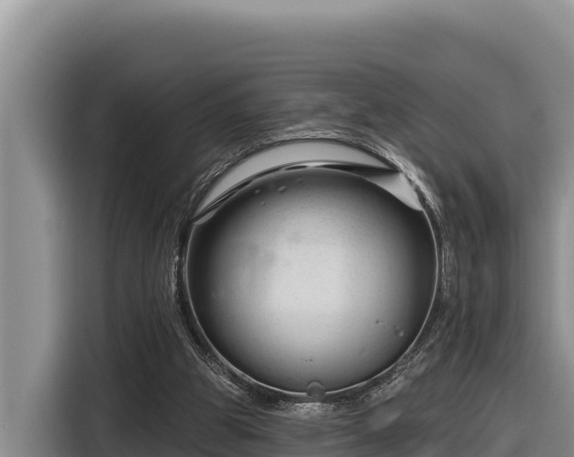 X0000116870153200912291326
