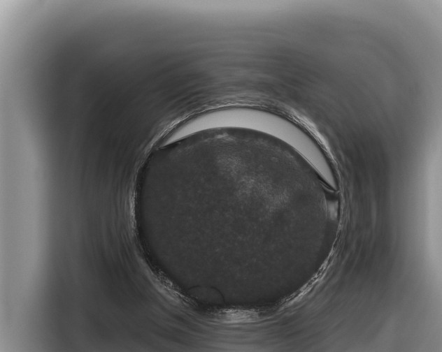 X0000116870154200912291326
