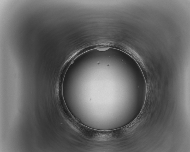 X0000116870155200912291326