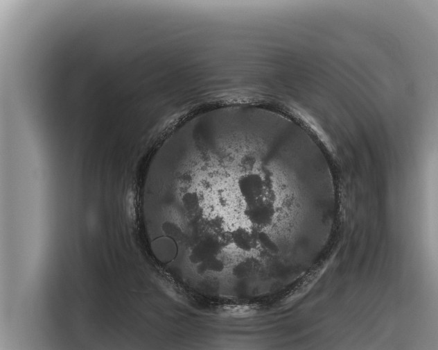 X0000116870161200912291326