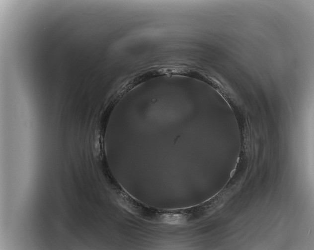 X0000116870169200912291326