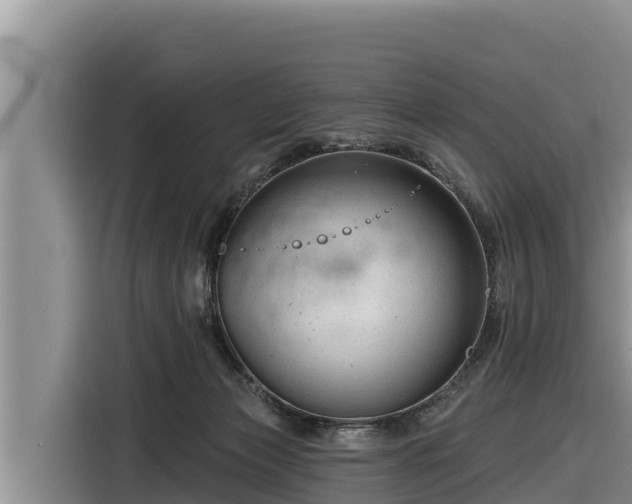 X0000116870173200912291327