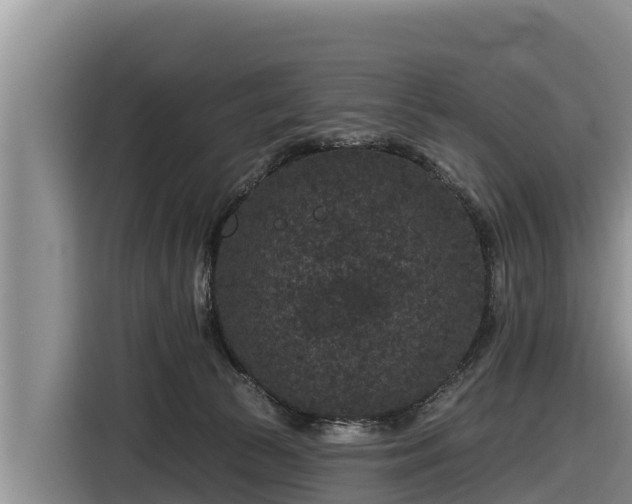 X0000116870177200912291327