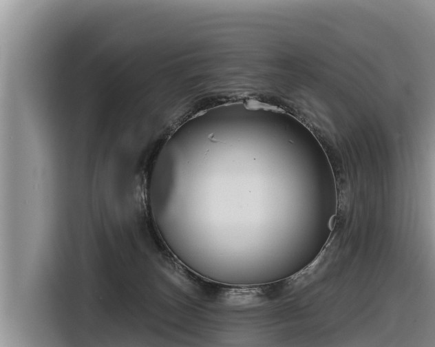X0000116870179200912291327