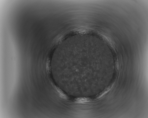 X0000116870181200912291327