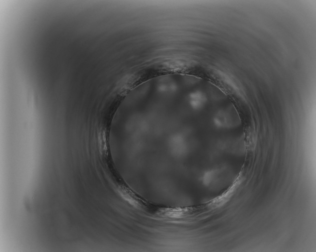 X0000116870182200912291327