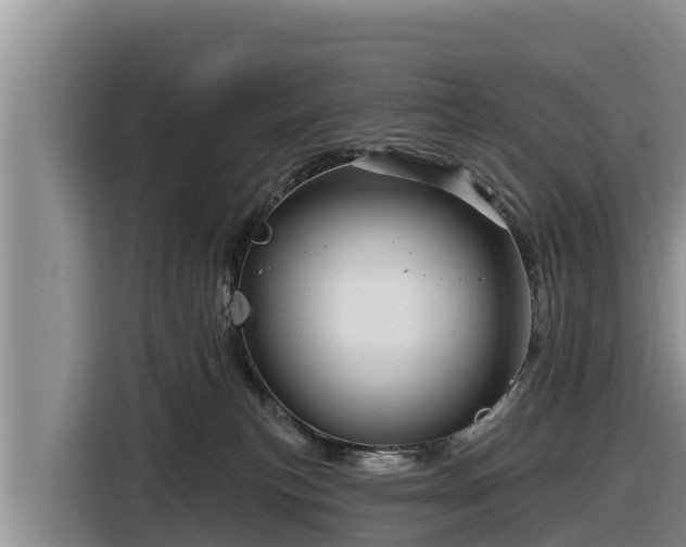 X0000116870183200912291327