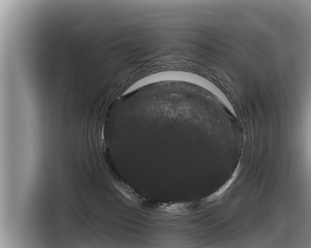 X0000116870186200912291327