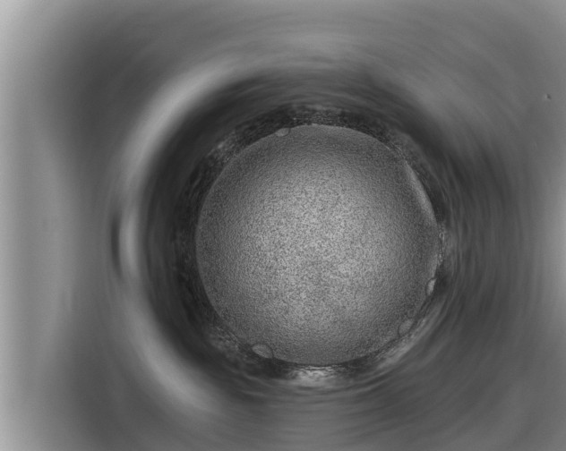 X0000116870189200912291327