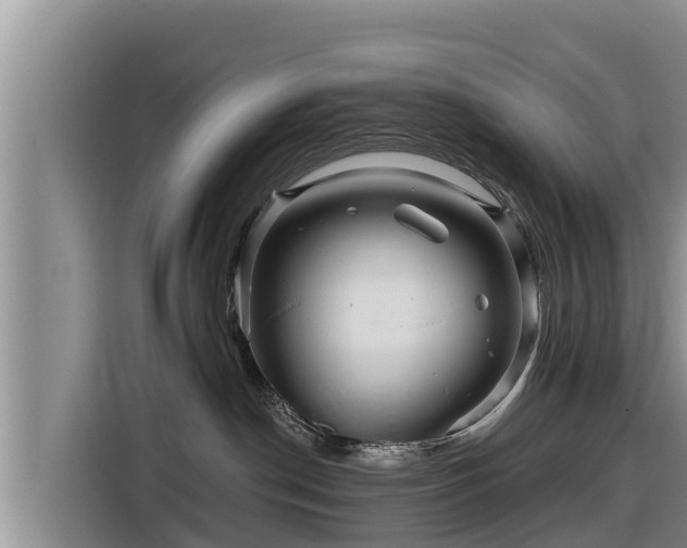 X0000116870190200912291327