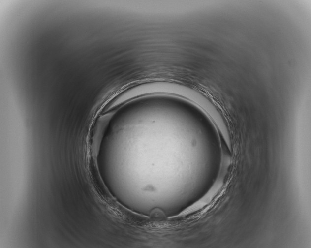 X0000116870194200912291326