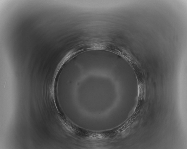X0000116870195200912291326
