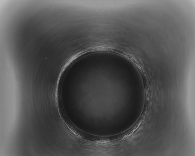 X0000116870196200912291326