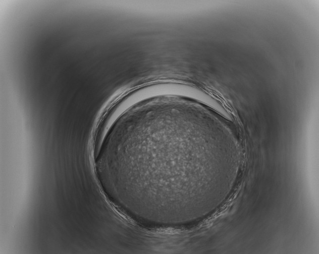 X0000116870197200912291326