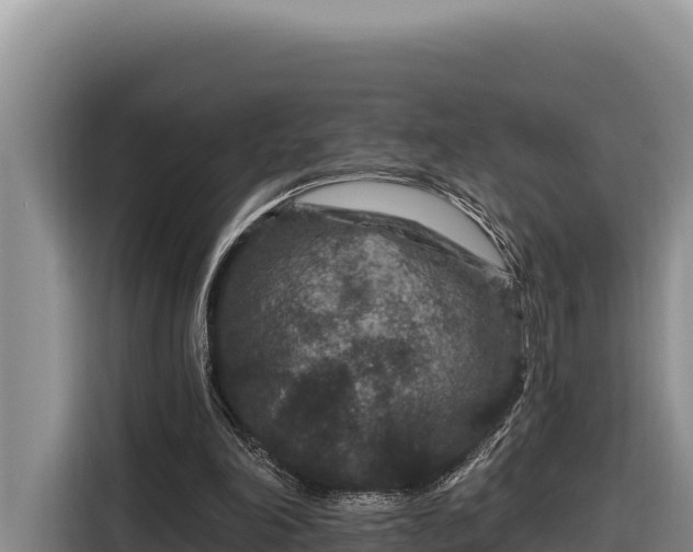 X0000116870198200912291326
