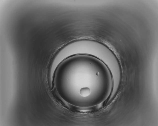 X0000116870201200912291326
