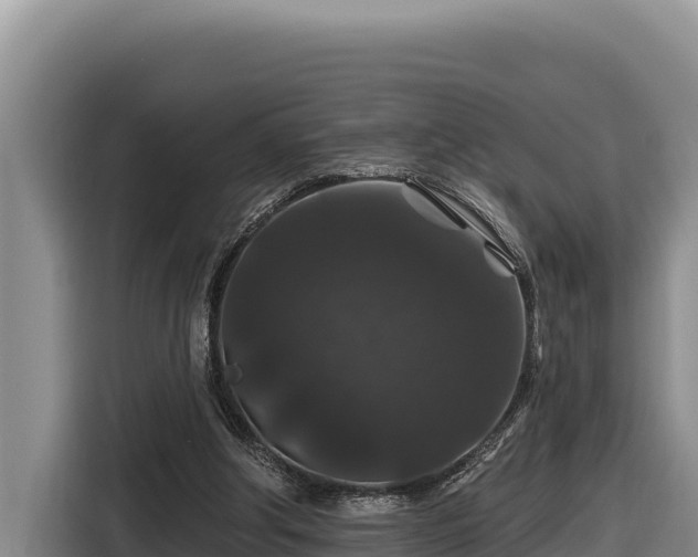 X0000116870202200912291326